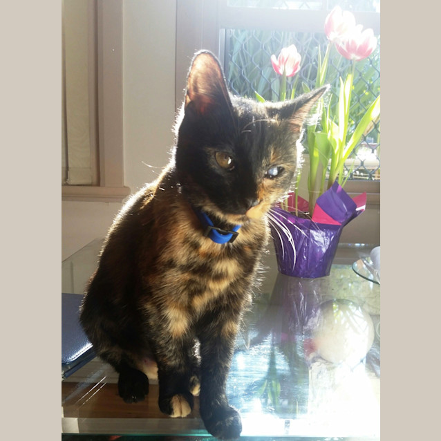 Photo of Bonnie