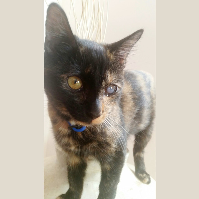 Photo of Bonnie