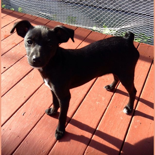 Photo of Lilly