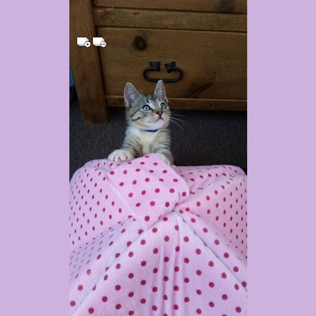 Photo of Olivia