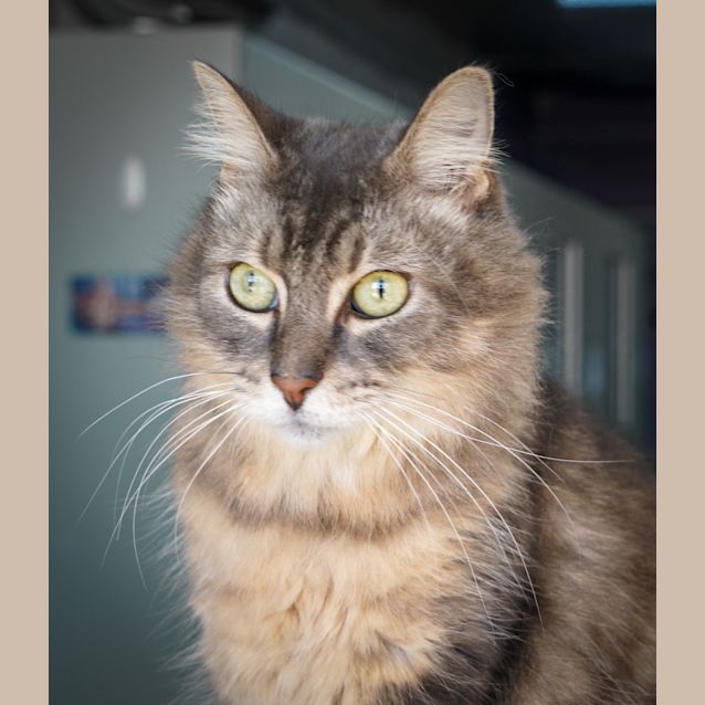 Photo of Minka