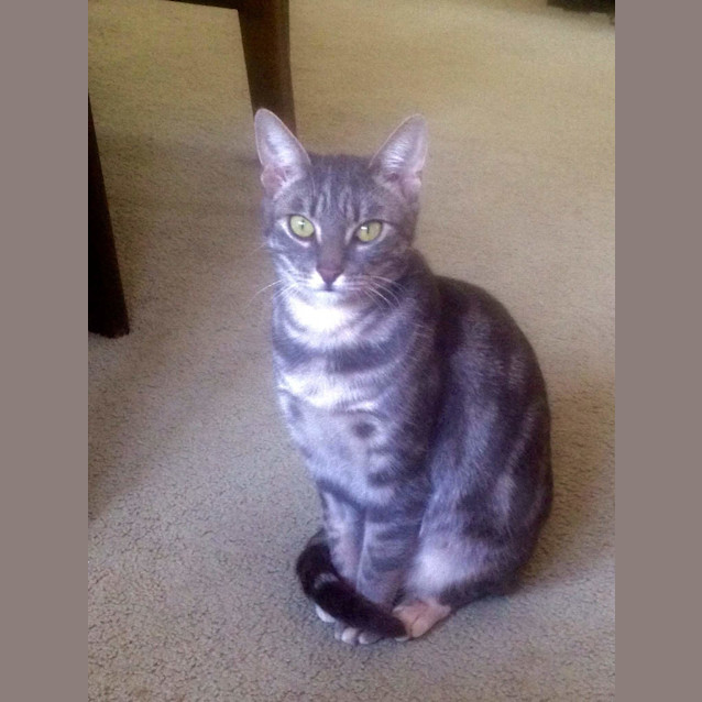 Photo of Elsa *$25 Only*