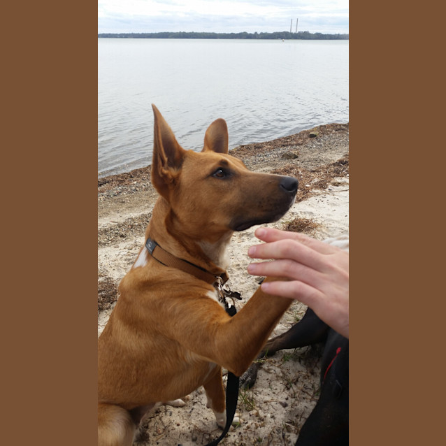 Photo of Matilda