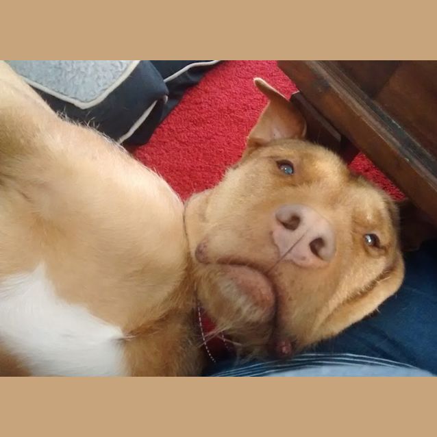 Photo of Tommy