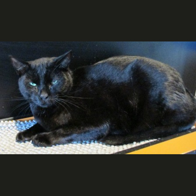 Photo of Jasper