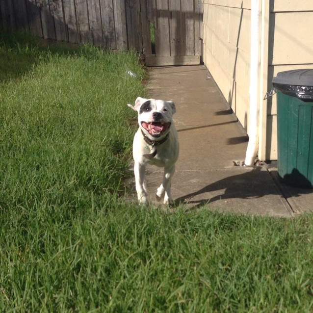 Photo of Buddy Id 30553