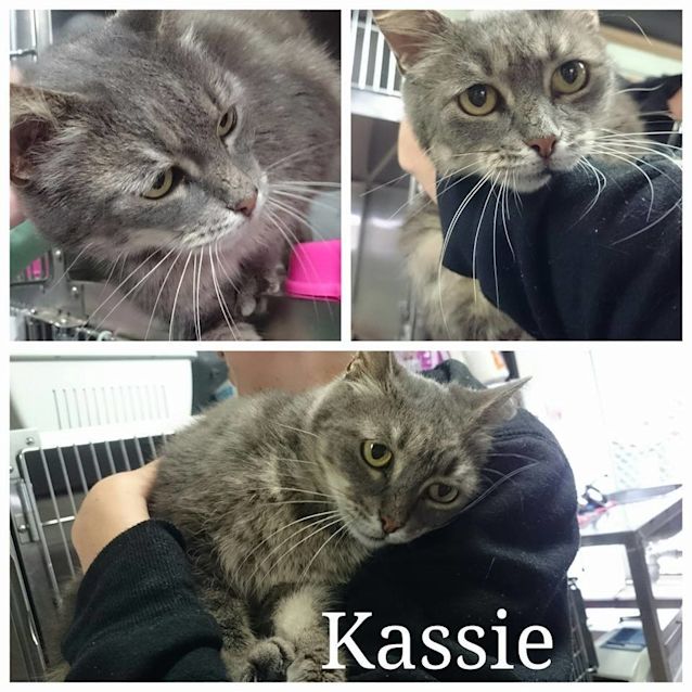 Photo of Kassie