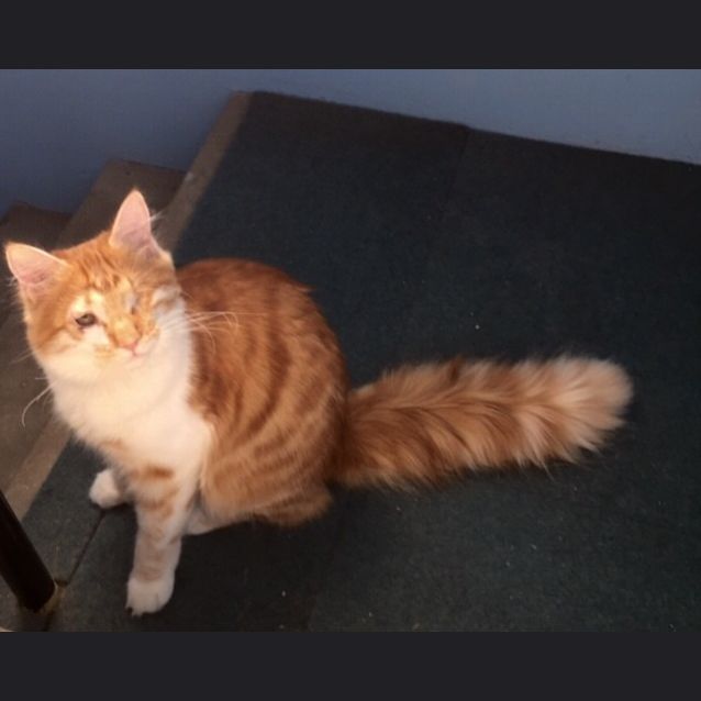 Photo of Stevie & Isaac 