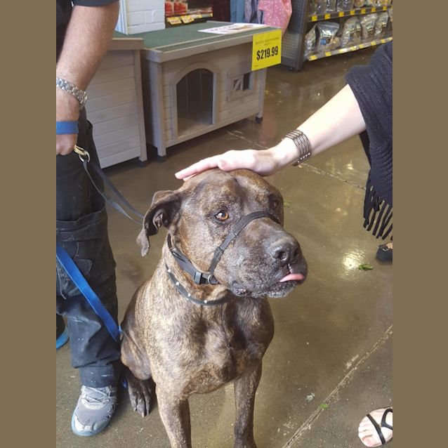 Photo of Clyde *I'm Only $200*
