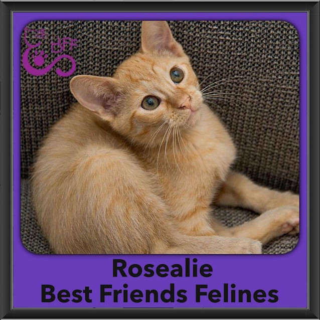 Photo of Rosealie