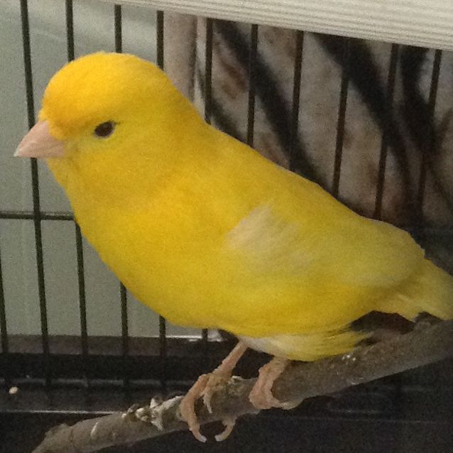 Photo of Little Man