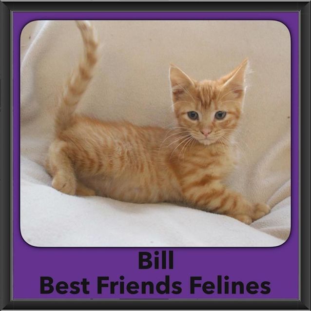 Photo of Bill