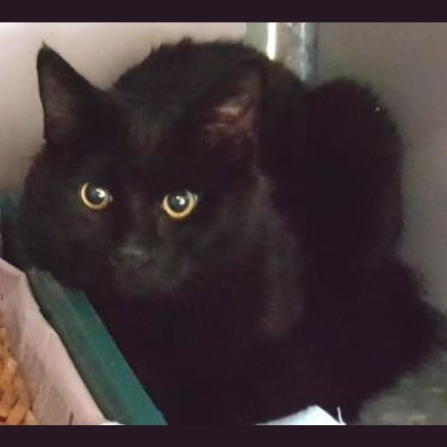 Photo of Jeffrey