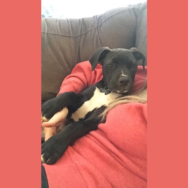 Photo of Willow