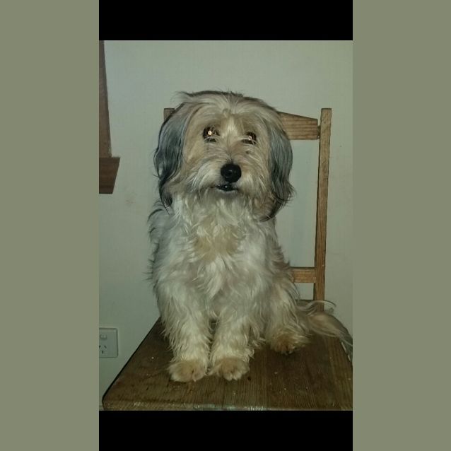 Photo of Winston