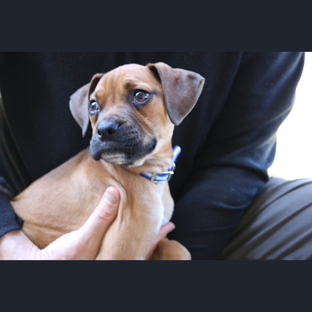 Photo of Hamish