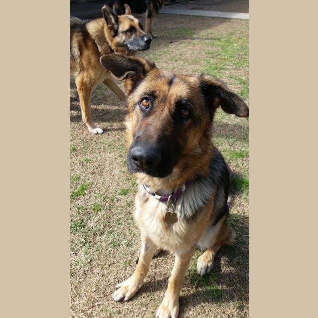 Photo of Roxy