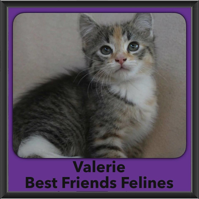 Photo of Valerie 