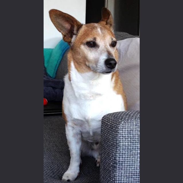 Photo of Hurley