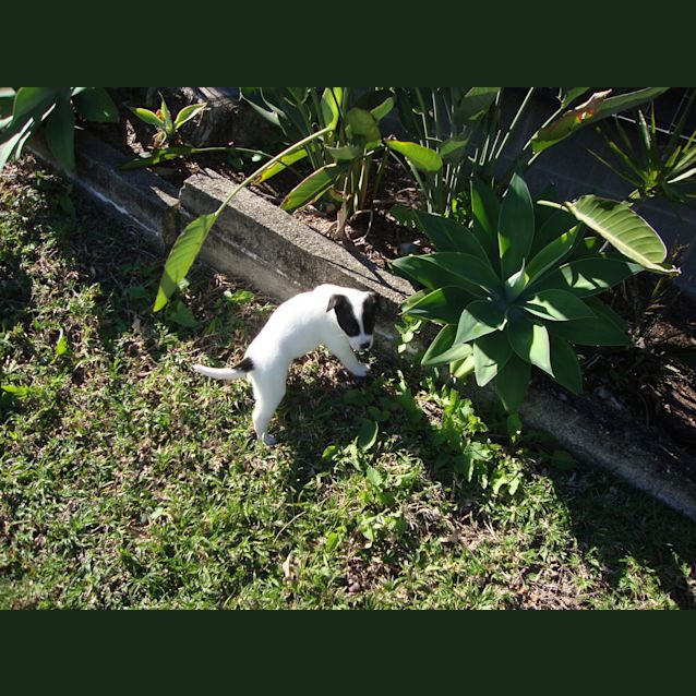 Photo of Titch