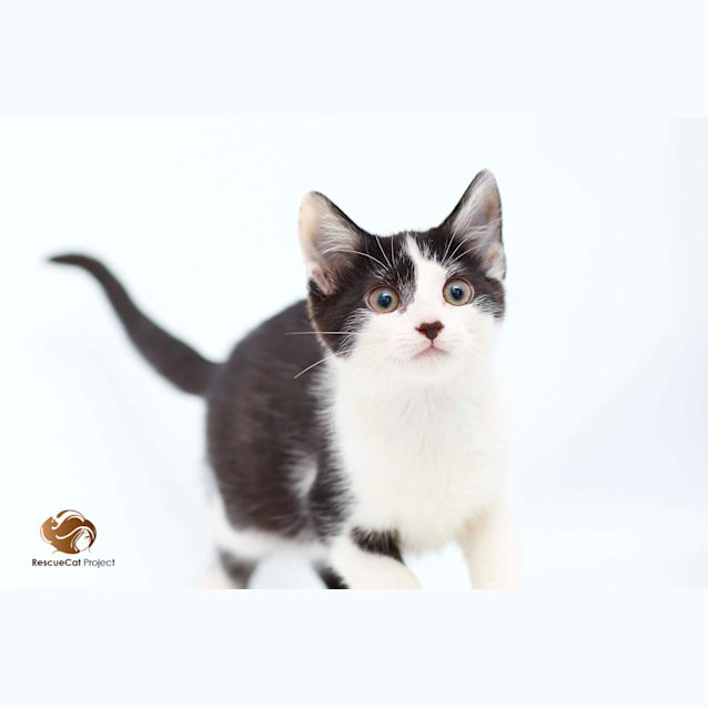 Photo of Chloe 