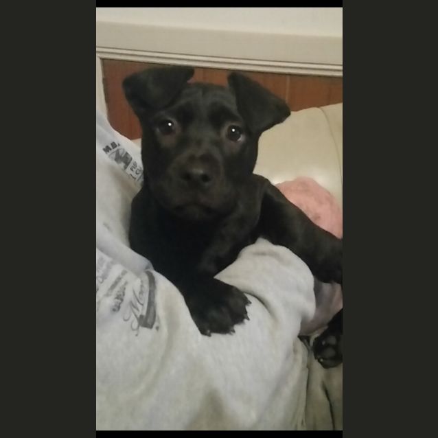 Photo of Ally 
