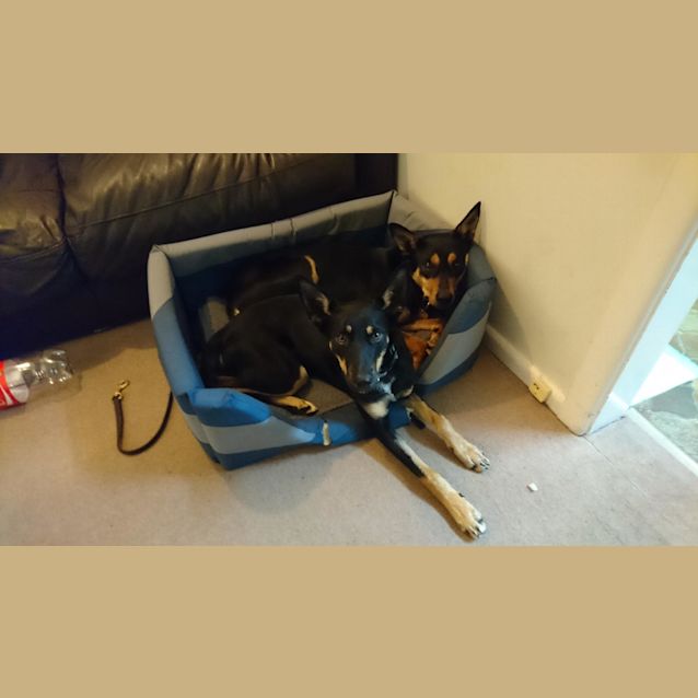 Photo of Nell