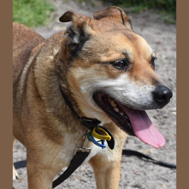 Photo of Buster 