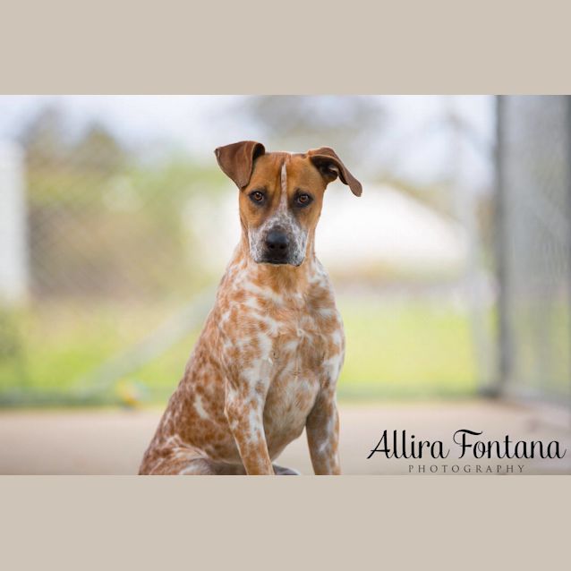 Photo of Oaky (Pcc 537)