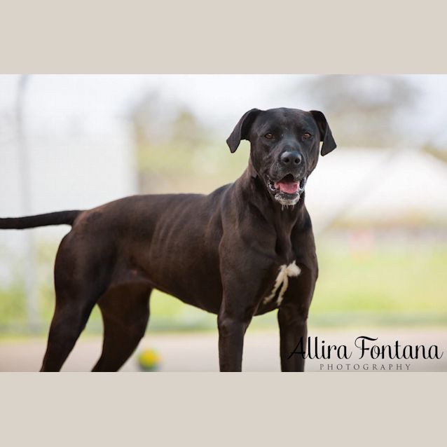 Photo of Betty (Pcc 531)