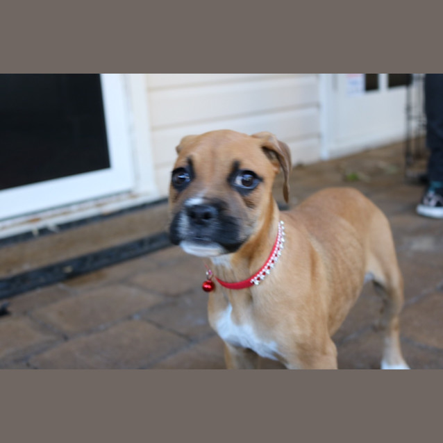 Photo of Hannah