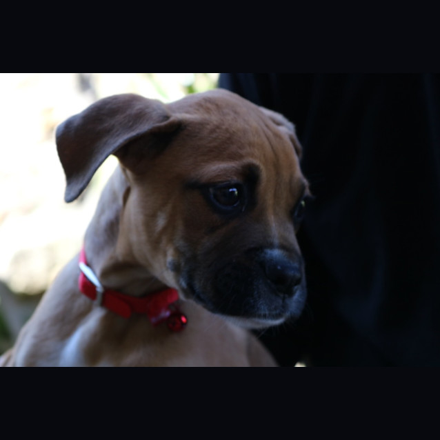 Photo of Hannah
