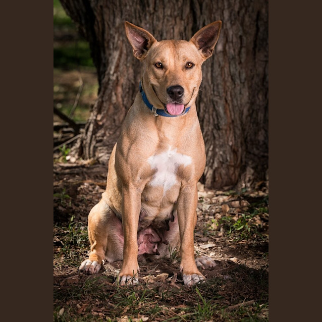 Photo of Grace
