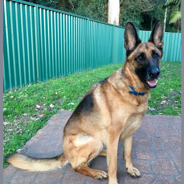 Photo of Mara
