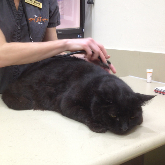 Photo of Abercrombie