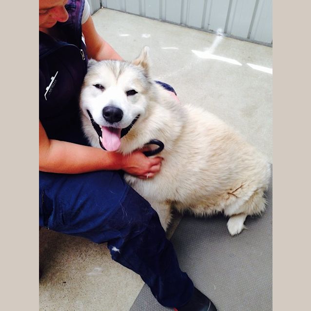 Photo of Axle