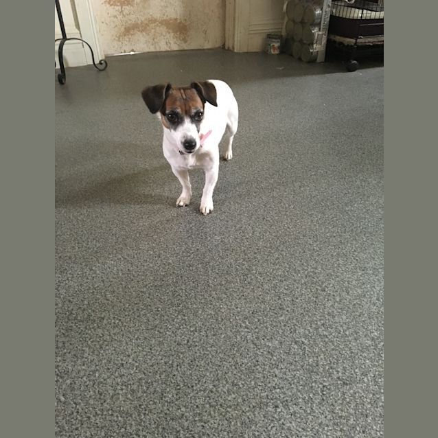 Photo of Bella