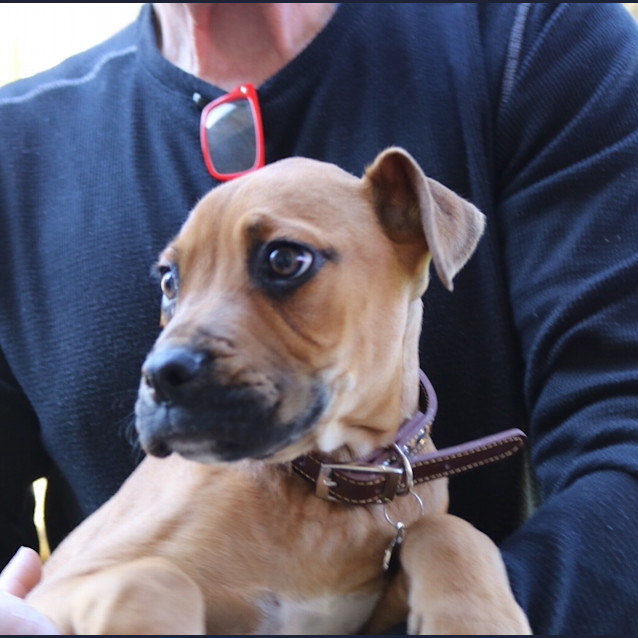 Photo of Rocky