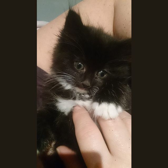 Photo of Millie
