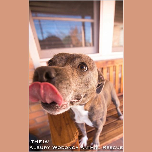Photo of Theia And Titan