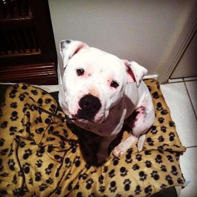 Photo of Franky (1602)