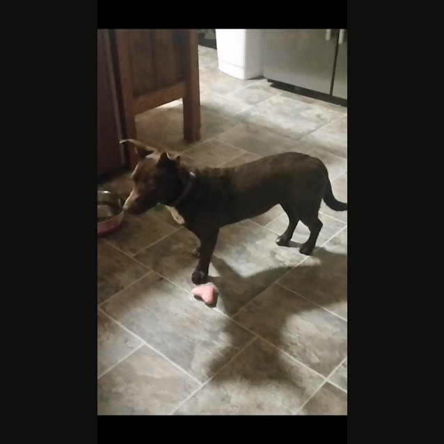 Photo of Piper