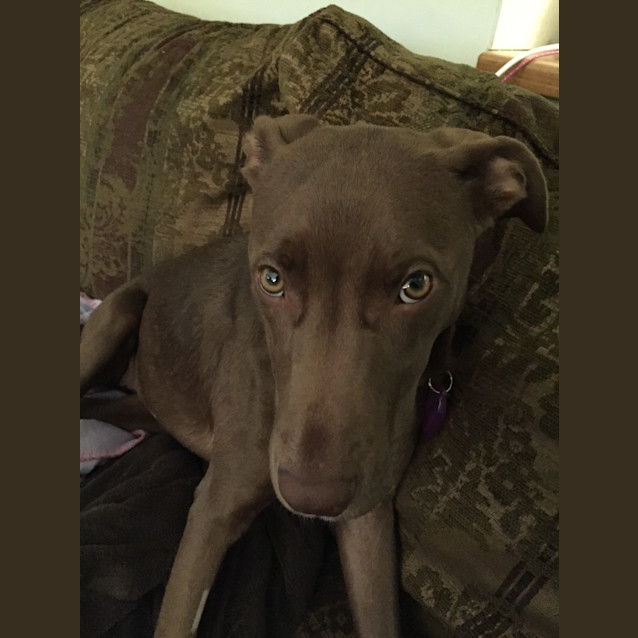 Photo of Tayja
