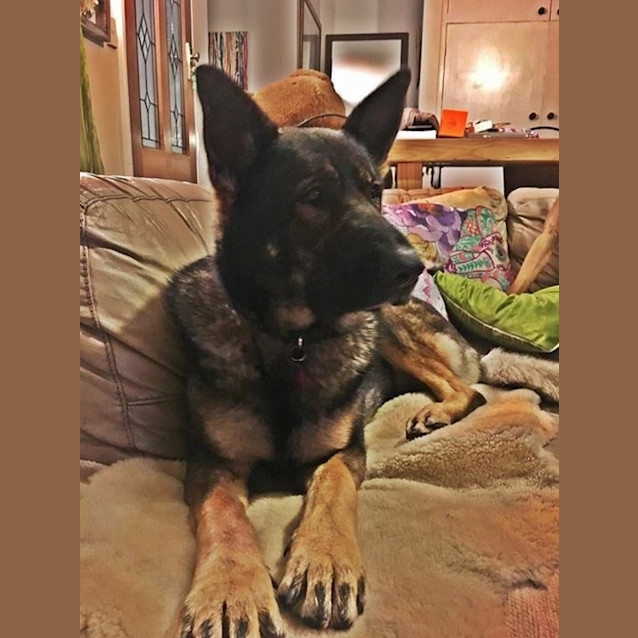 Photo of Dakota 