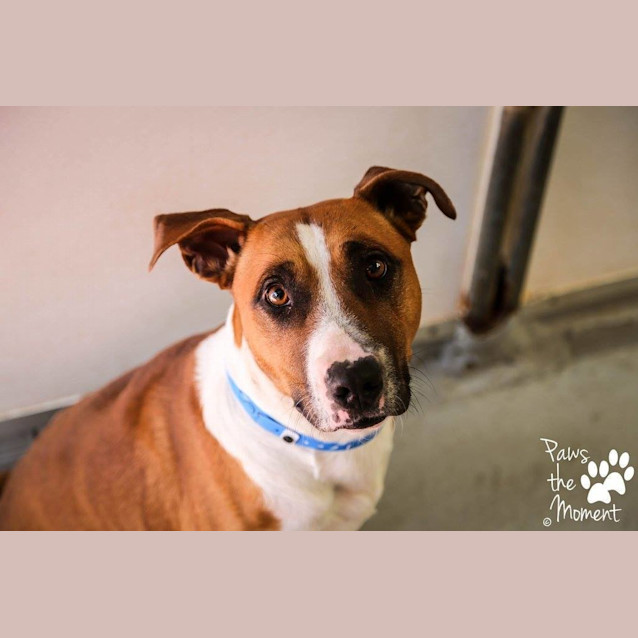 Photo of Jake (1560)