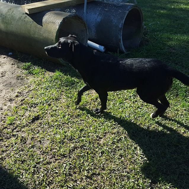 Photo of Roxy 