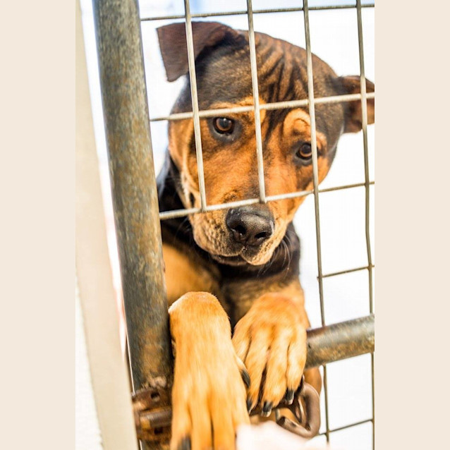 Photo of Boston (1837)