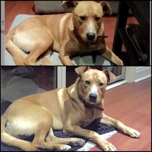 Photo of Tank