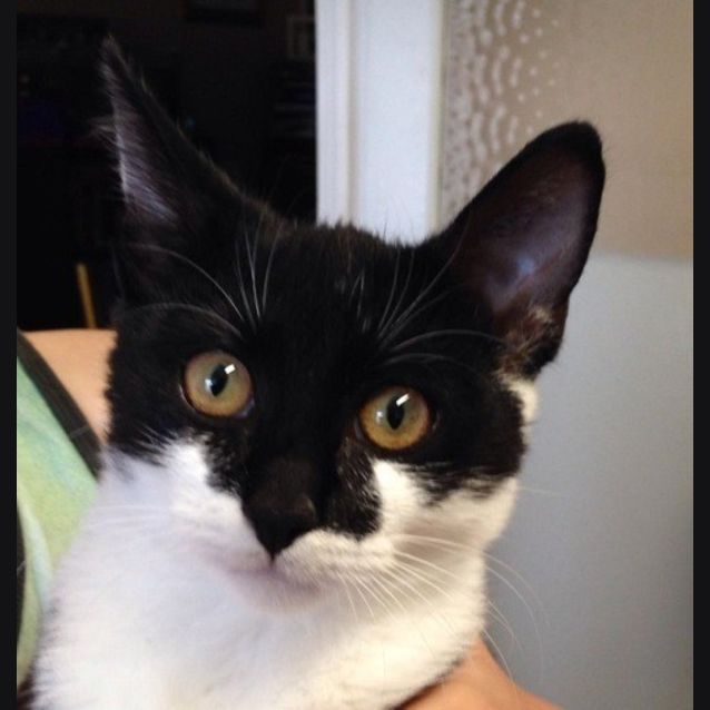 Photo of Maggie May Ec0191