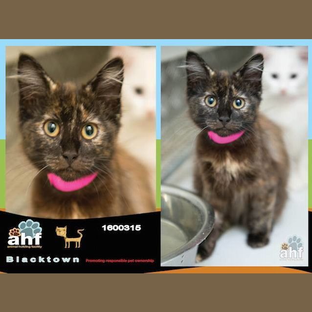 Photo of Madonna (0315)